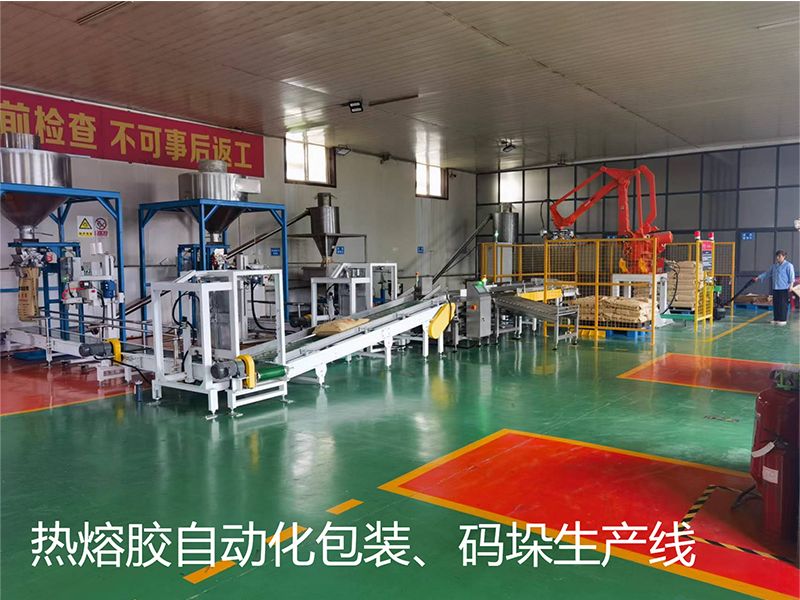 熱熔膠自動(dòng)化包裝、碼垛生產(chǎn)線